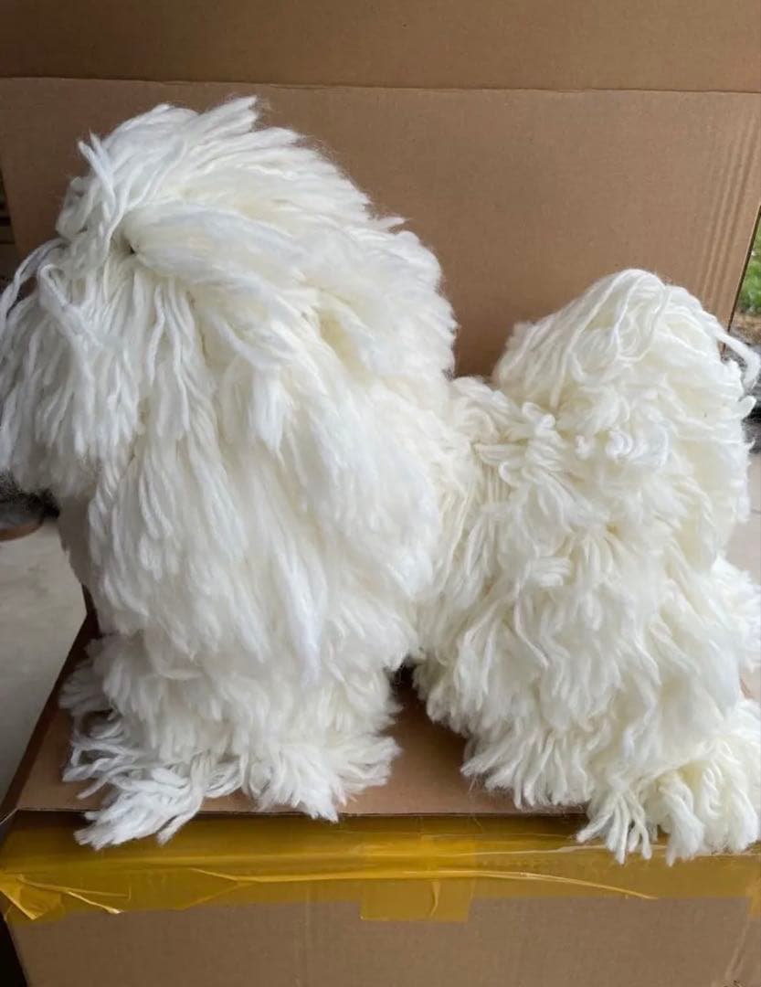 新品】レッスンドッグ PUPPY 107-ST (ワケ有り品) 6台セット
