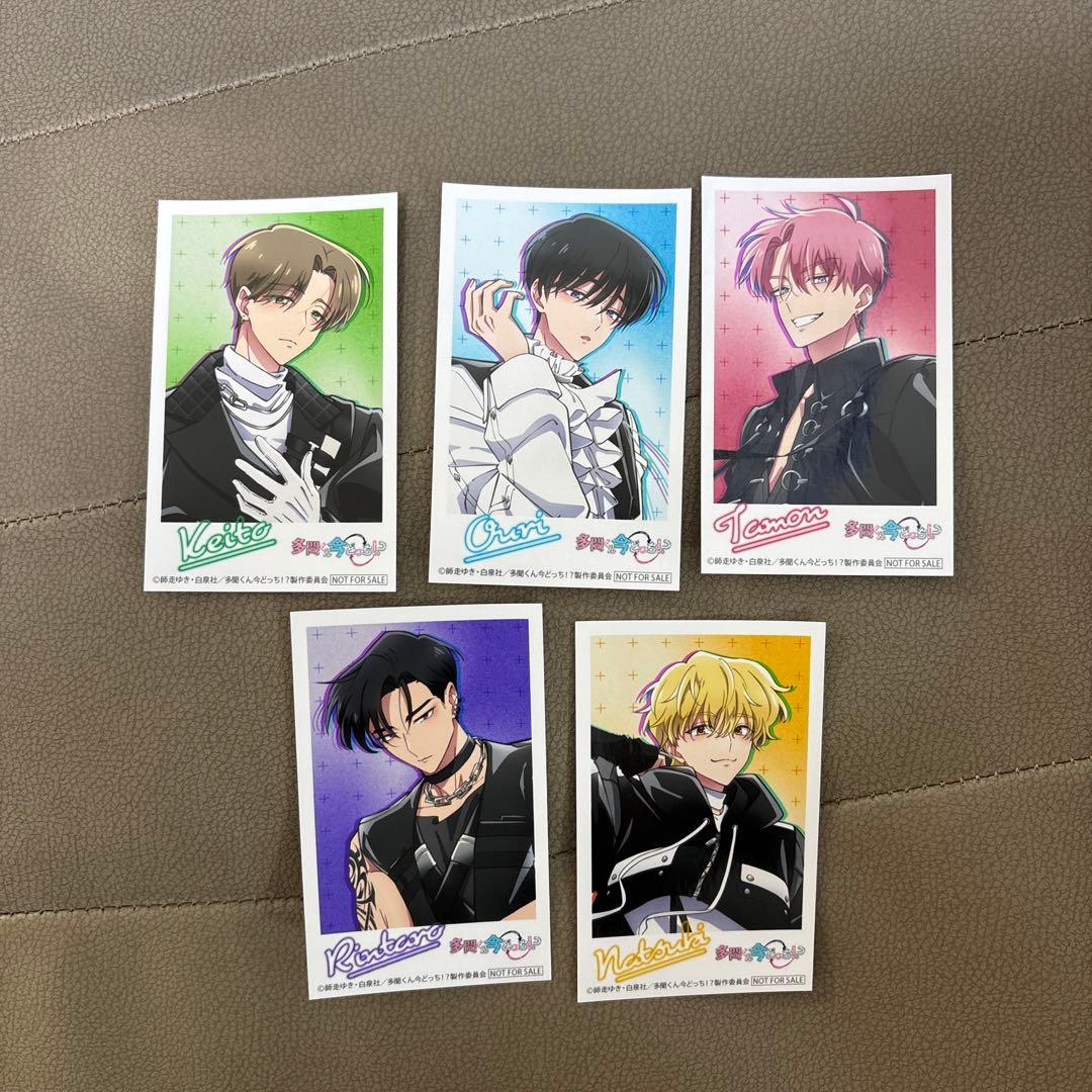 多聞くん今どっち F/ACE OFF アニメイト特典 ミニフォトカード - メルカリ