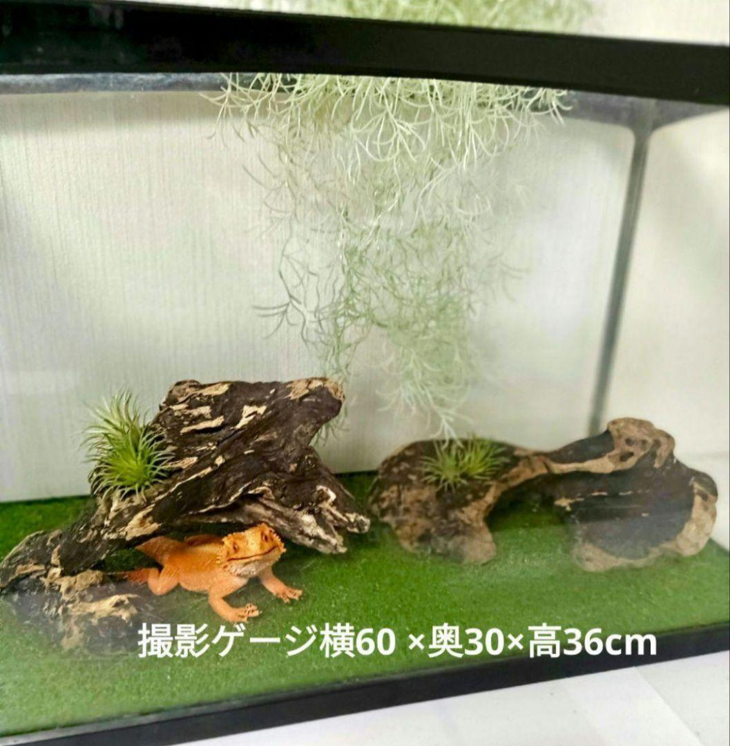 シグノ様 流木465 468 469 リクエスト 3点 おまとめ商品の通販はau PAY