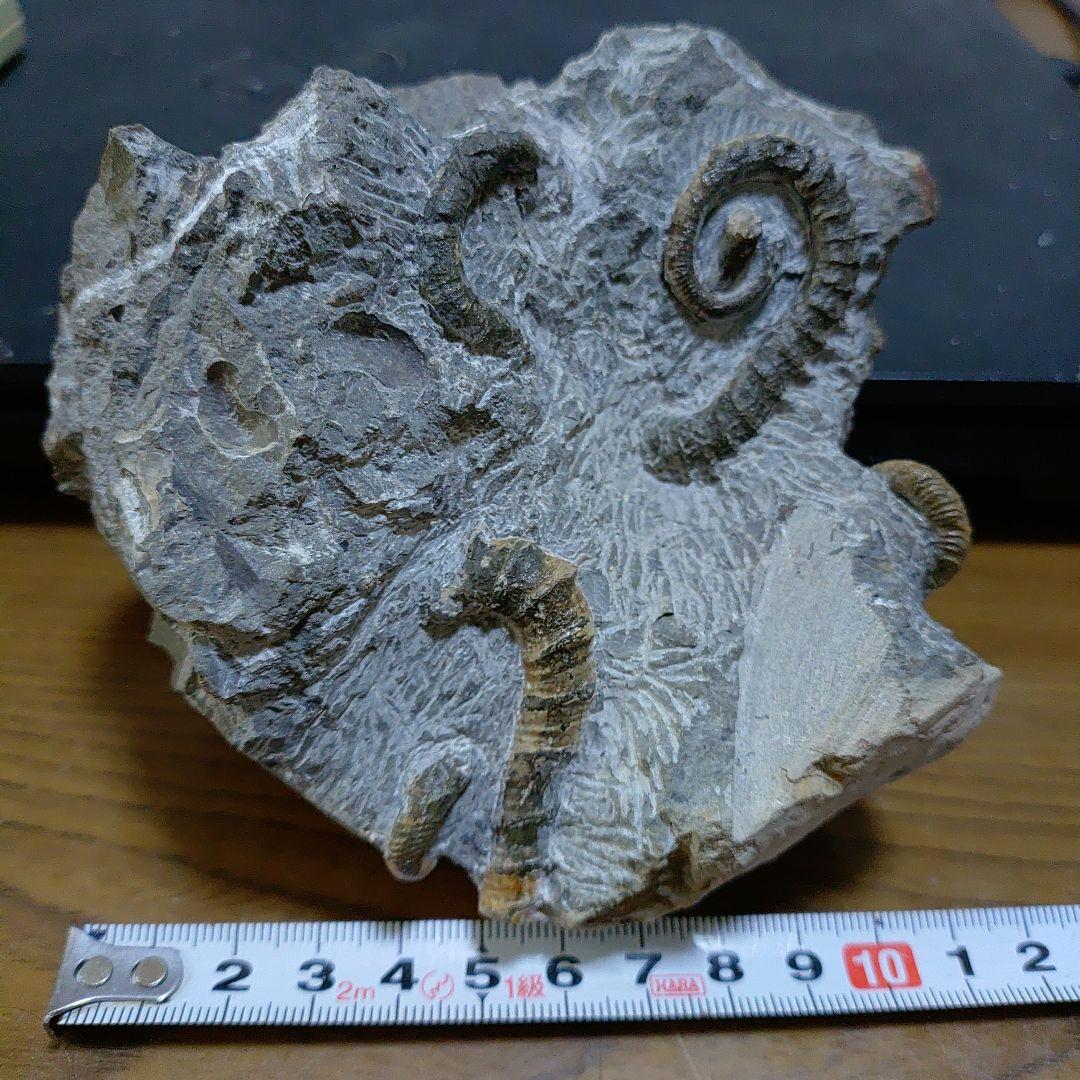 北宋時代 青白磁貫耳瓶 景徳鎮 影青 花入 花瓶 茶道具(E-96)