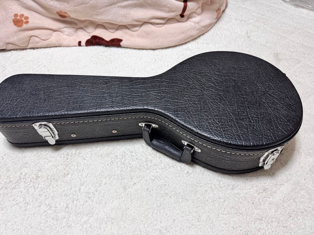 【超美品】Aria AM-20 フラットマンドリン超美品　専用ハードケース 楽器