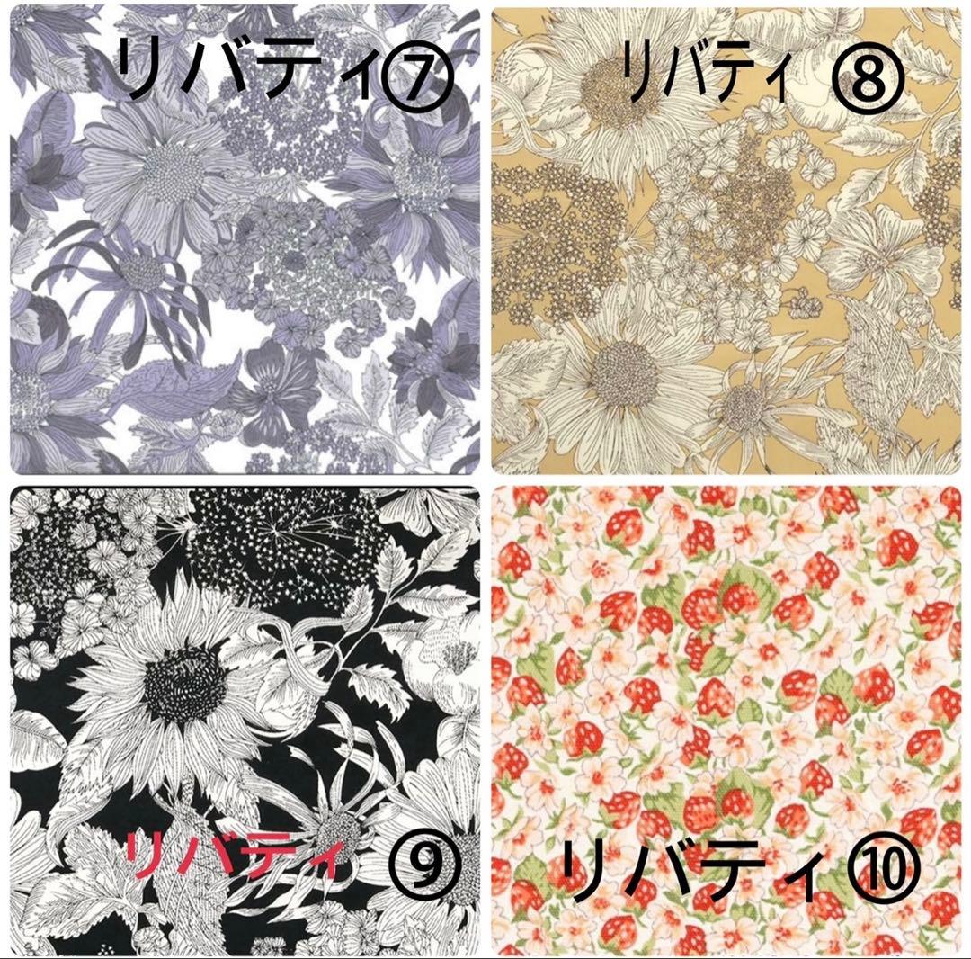 しーちきんページエヴリンtpmサイズバッグインバッグ