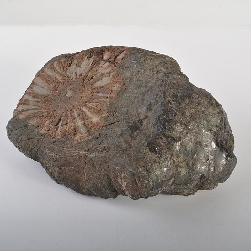 鑑賞石 天然石 菊花石 置物 重さ約5.4㎏ V 6200C