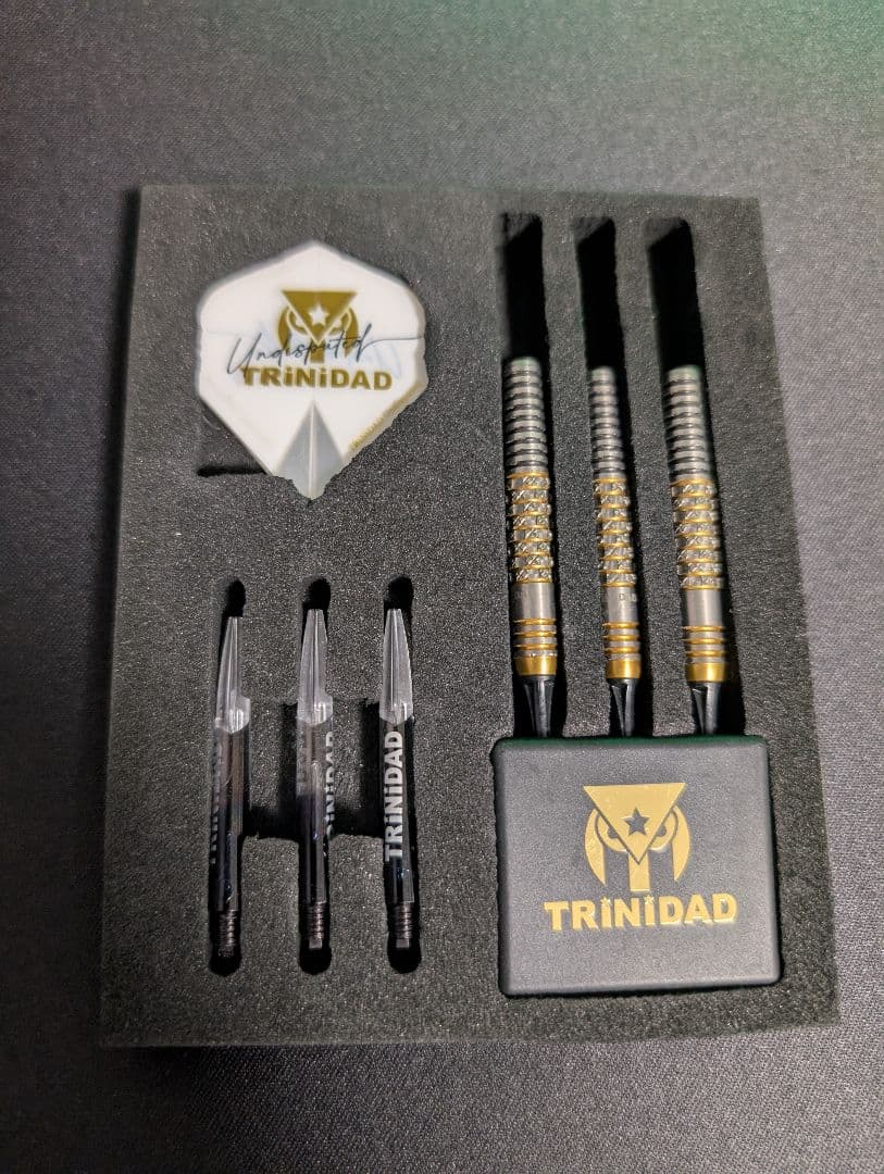 浅田斉吾選手 Undisputed 22g リカルドアルファ RICARDO α