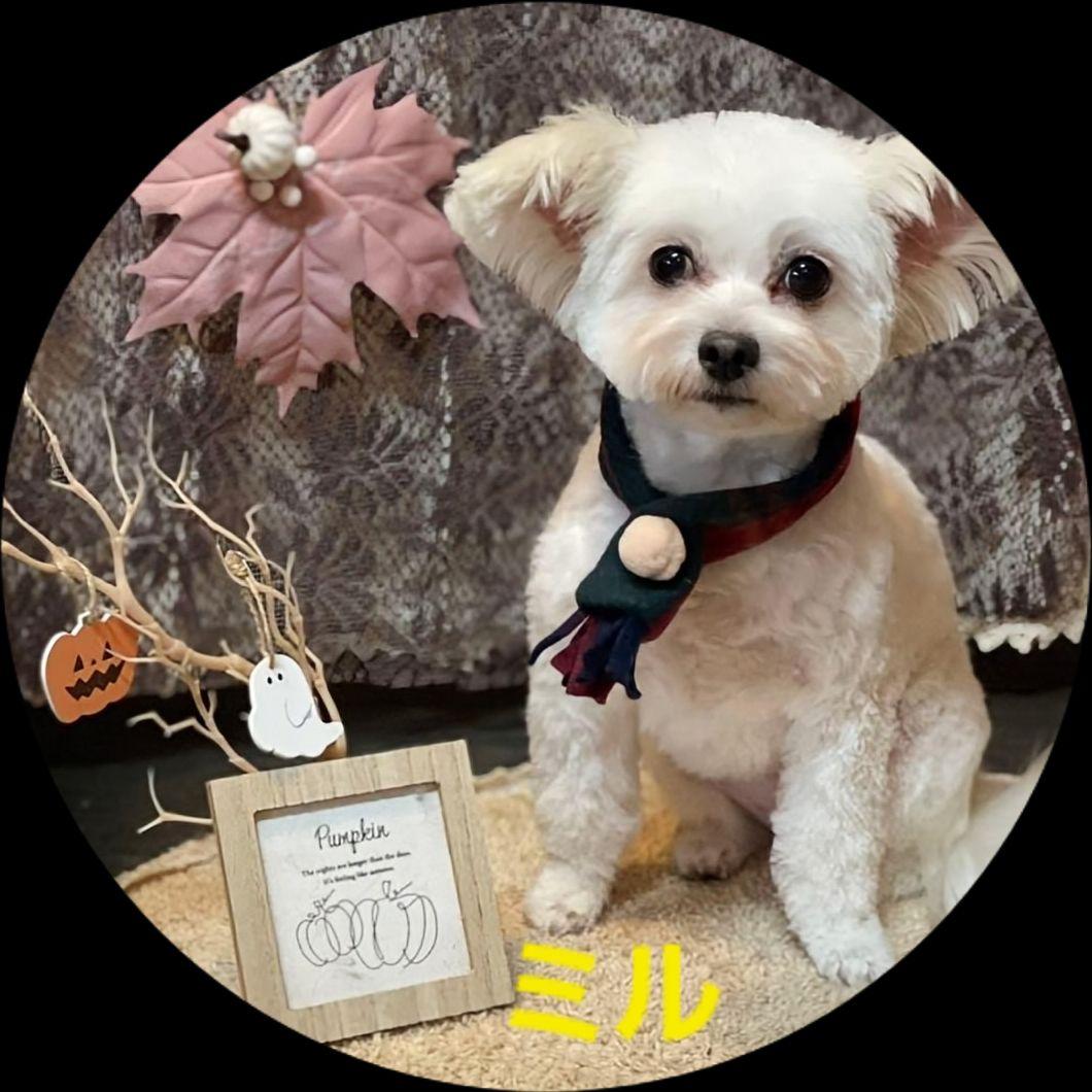 FaFa！キーホルダー