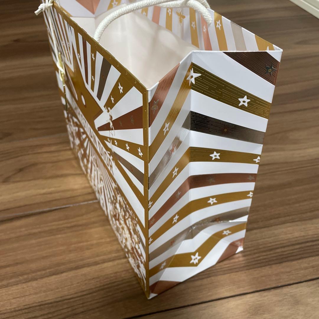 新品未使用品 美品 ディオール DIOR 2025 ホリデー ショッパー 大