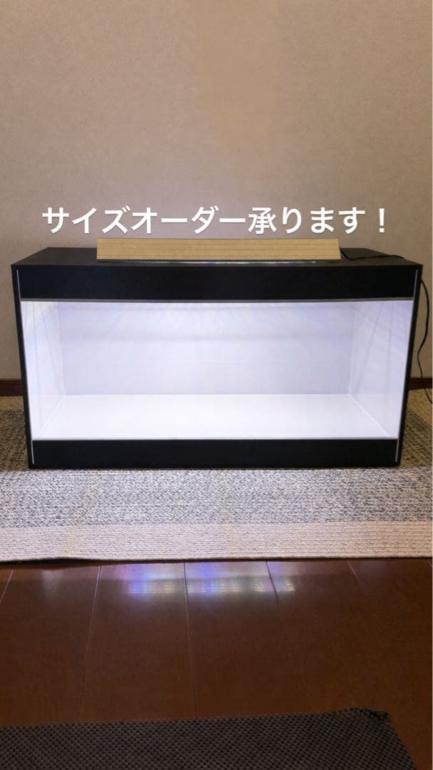 PITAKA Glints of Gold Gift Box（浮光躍金）