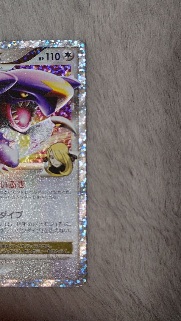 ぬ*ま様 リザードン ガブリアス　25周年