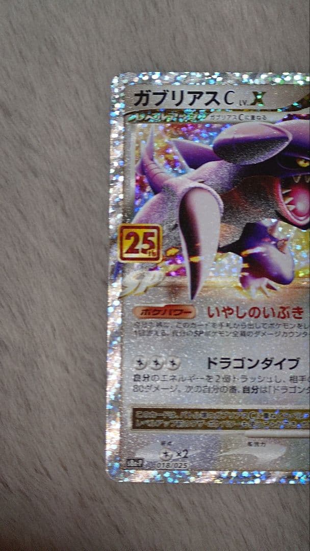 ぬ*ま様 リザードン ガブリアス　25周年