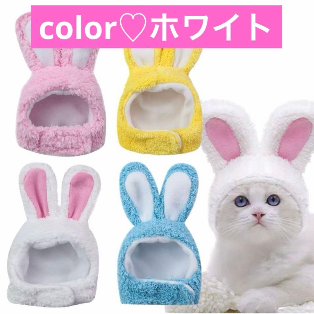❤️ラスト1点❤️猫犬用帽子 着ぐるみコスプレ うさぎ 可愛い 面白い