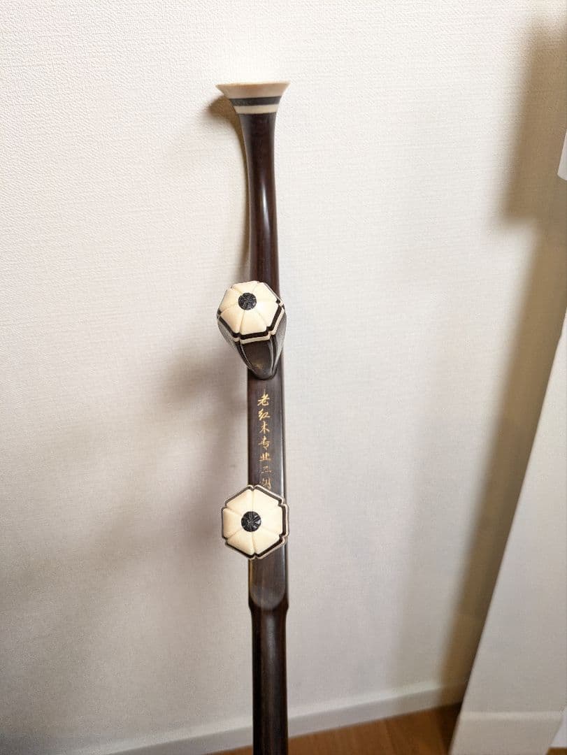 二胡 蘇州琴藝 楽器 現状渡し