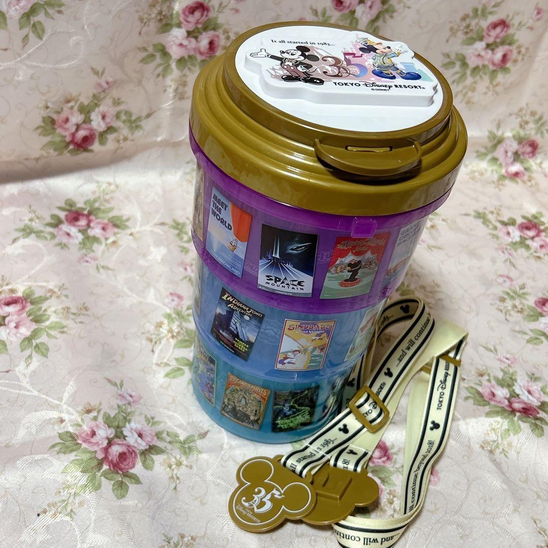 東京ディズニーリゾート 35周年 アトラクションポスター柄