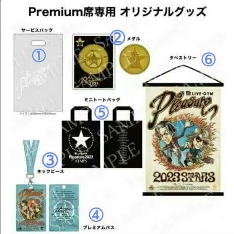 B'z pleasure 2023 PREMIUM席限定グッズ＋おまけ3点 - メルカリ