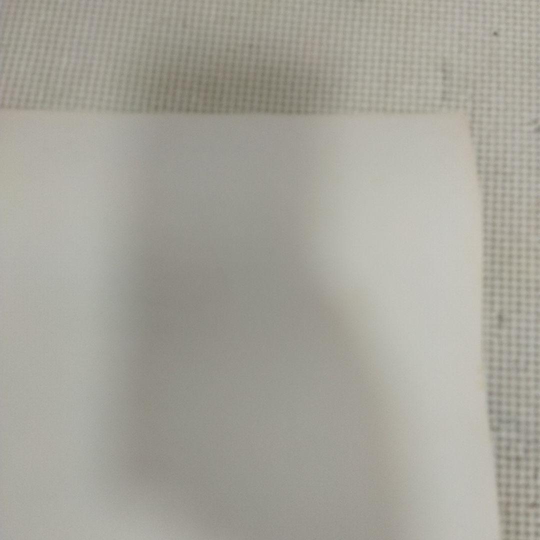 資生堂　メアリー岩本　マリアン　ポスター