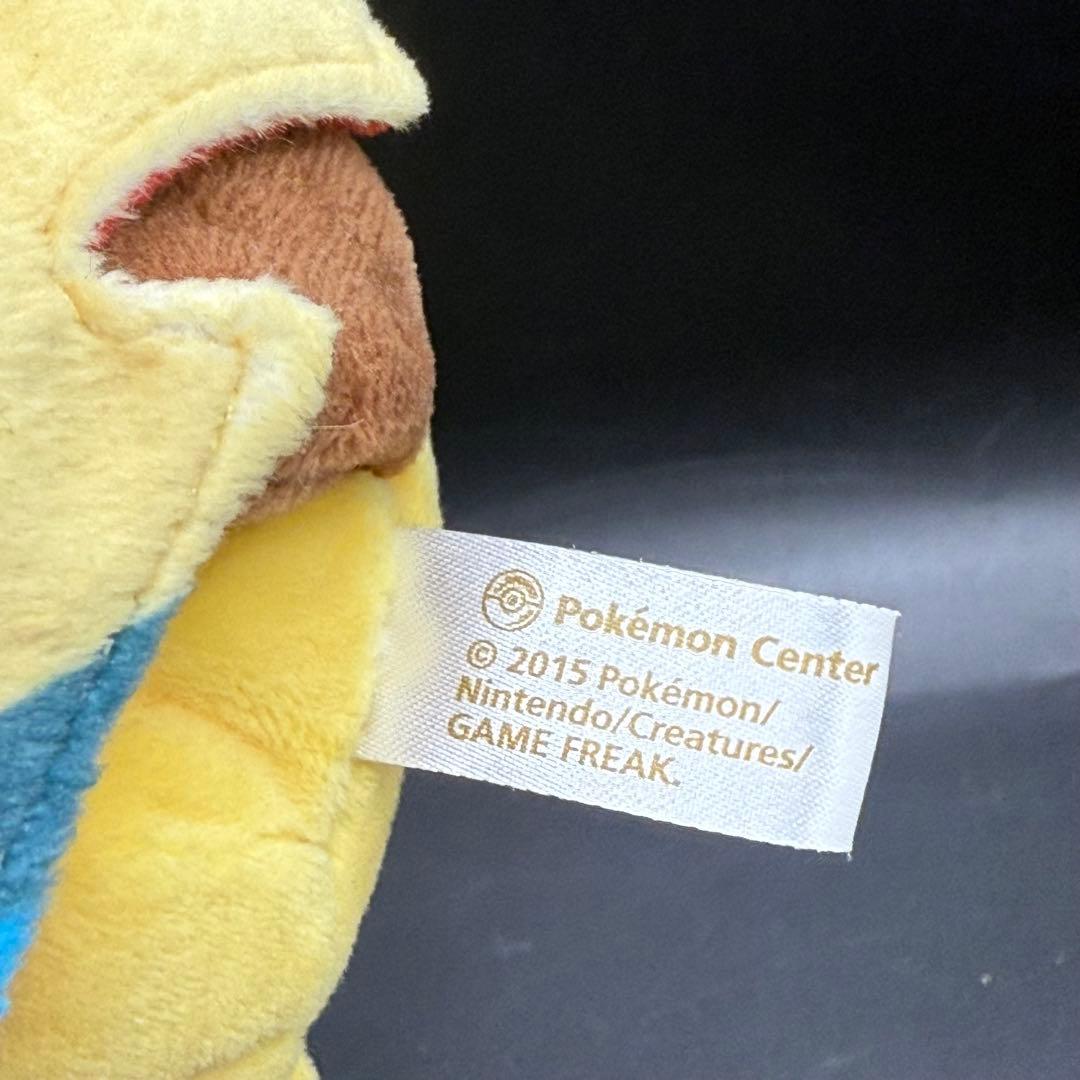 極美品 メガルカリオのポンチョを着たピカチュウ