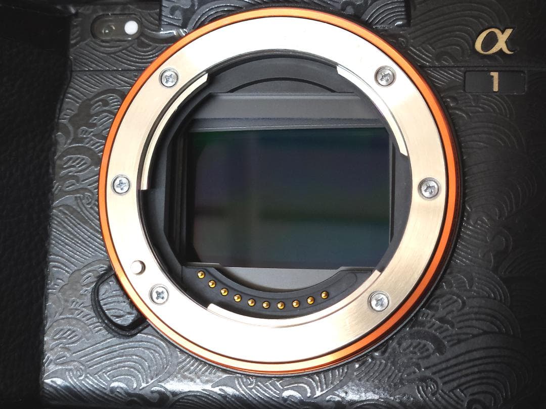 SONY α1 ILCE-1（シャッター回数422回） SONY α1 ILCE-1 ボディの