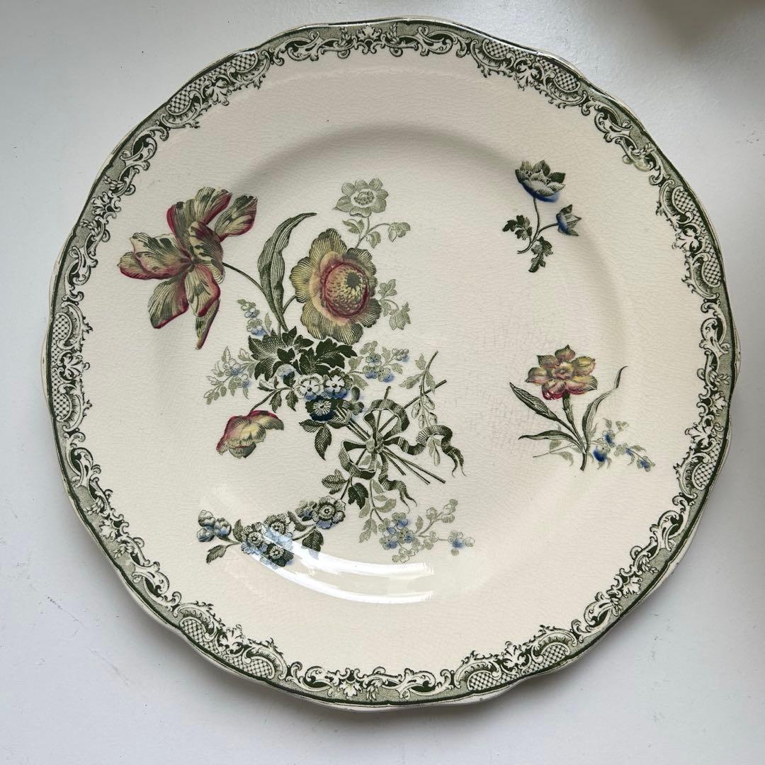 サルグミンヌフォンタンジュ多色ディナープレート