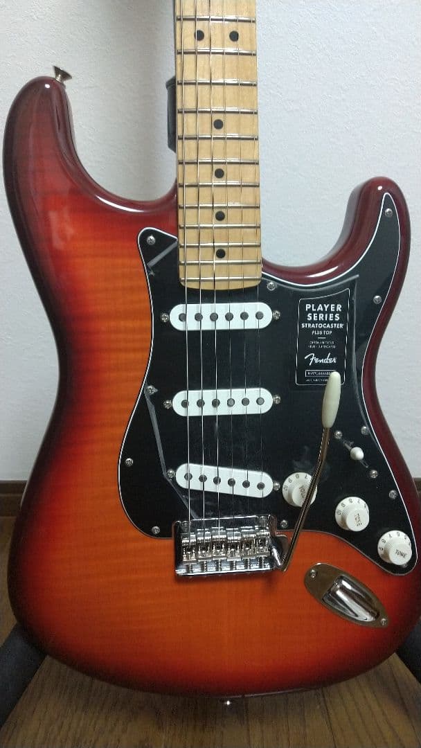 Fender MexicoStratocaster Plier Series