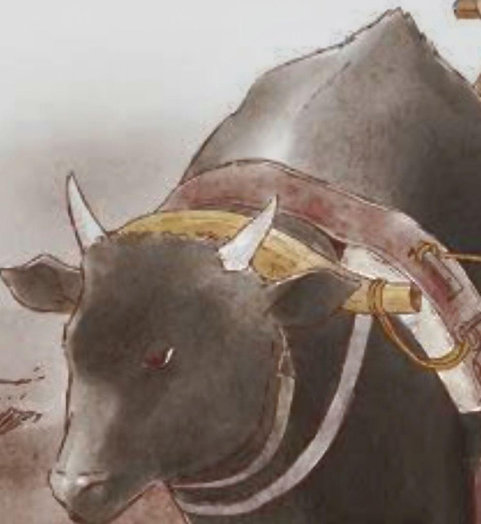 昔の古民具、農機具、畑を耕す為に、牛の背に装着