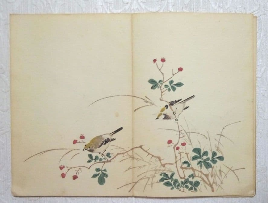 彩色木版画画帖本竹洞花鳥畫譜初版中林竹洞名古屋の
