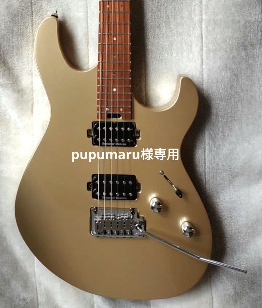 Cort / G300 Proゴールド ハムバッカー搭載・おまけ2点付き特価