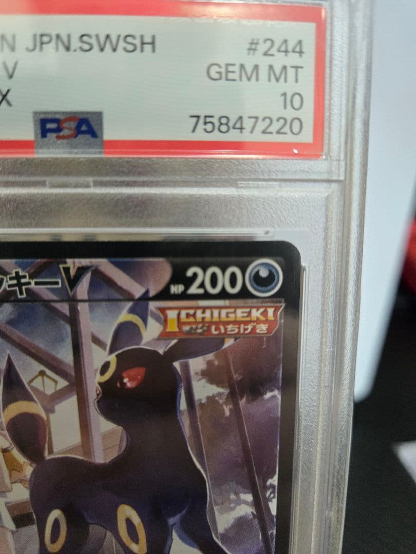 「PSA10」ブラッキーVCSR