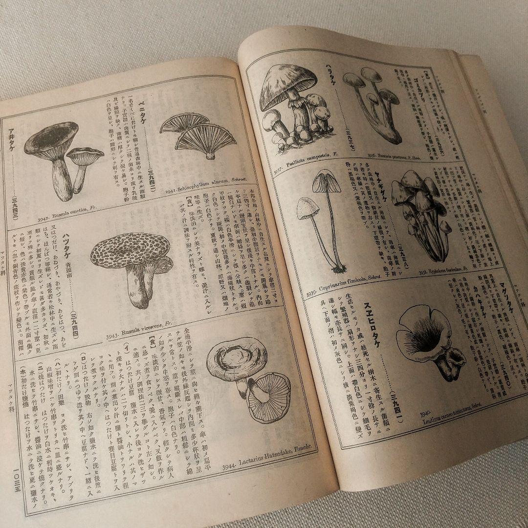 戦前・初版本】大植物圖鑑 昭和十六年 らんまん・牧野富太郎ライバル