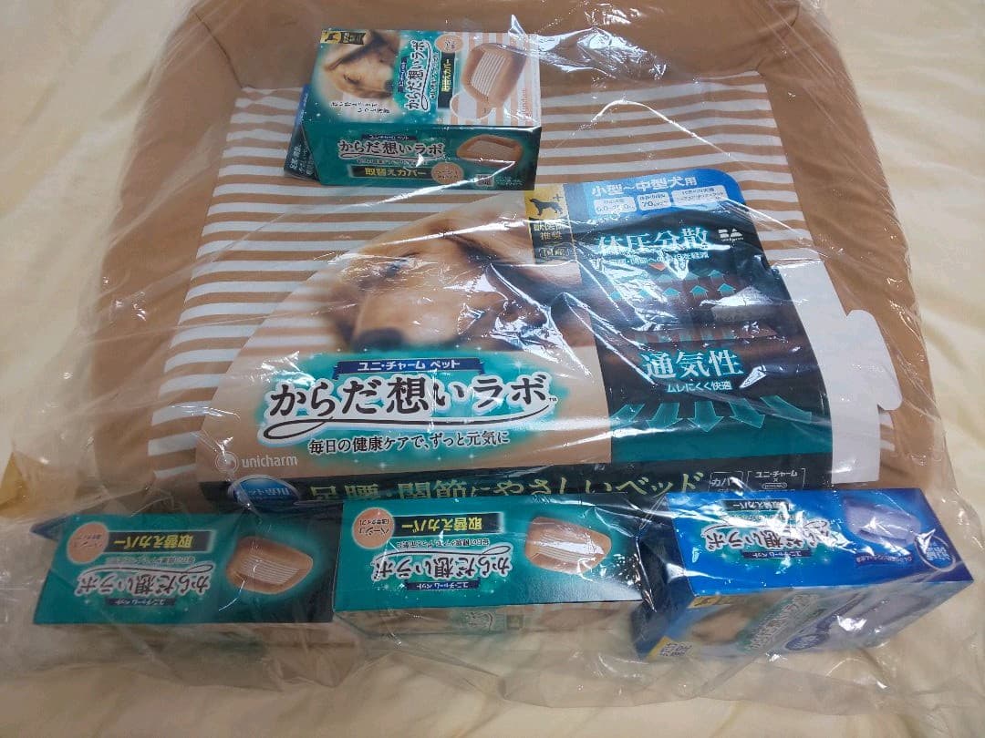 もふもふ特等席 色鉛筆画