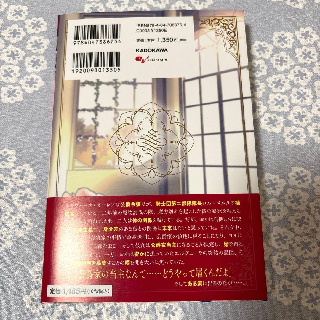 専用】新刊 エタニティブックス・ルネッタブックス・蜜夢文庫