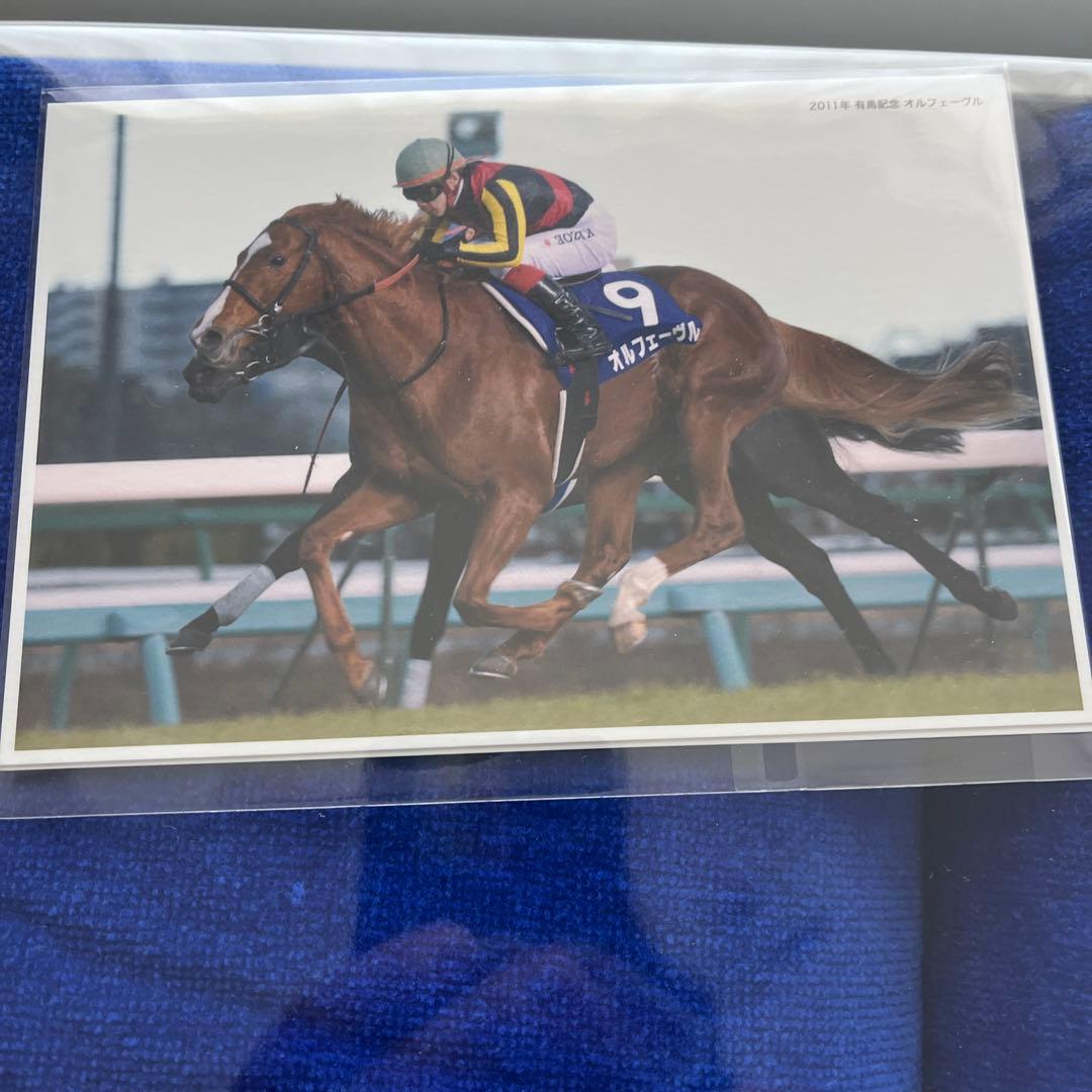 有馬記念ファン投票フルゲート賞 オルフェーブル ゼッケン型バスタオル