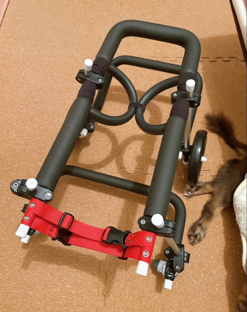 処分 歩犬舎 小型犬用 オーダーメイド 4輪車いす 四輪 4輪