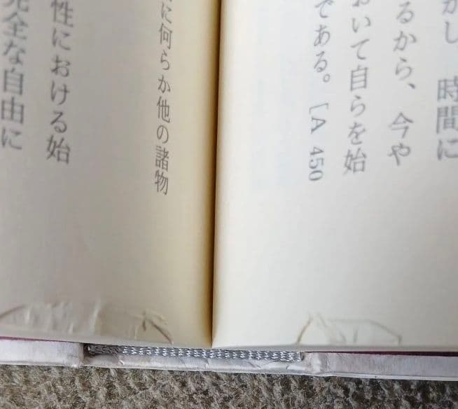 カント「純粋理性批判」註解 ケンプスミス 上下巻セット - メルカリ