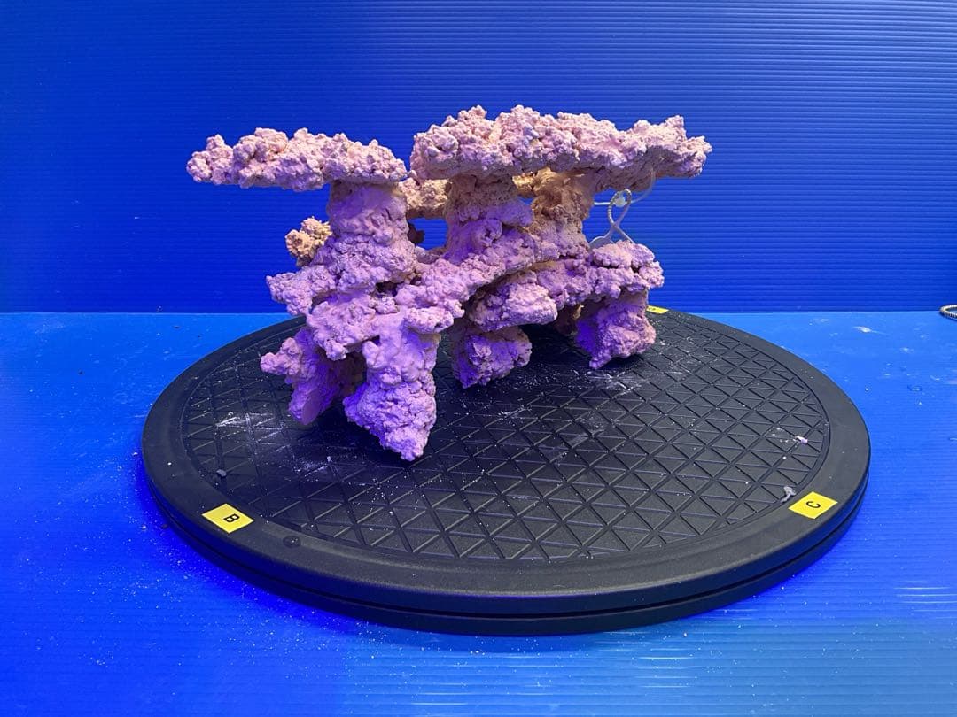 人工ライブロック　No.9-10 無害化処理済