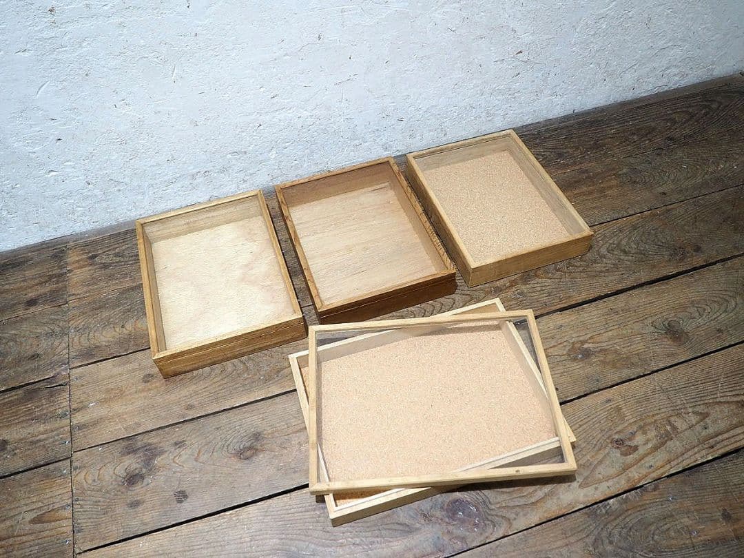 1389 ①蓋付 レトロな標本ケース(小)4個セット ガラスケース