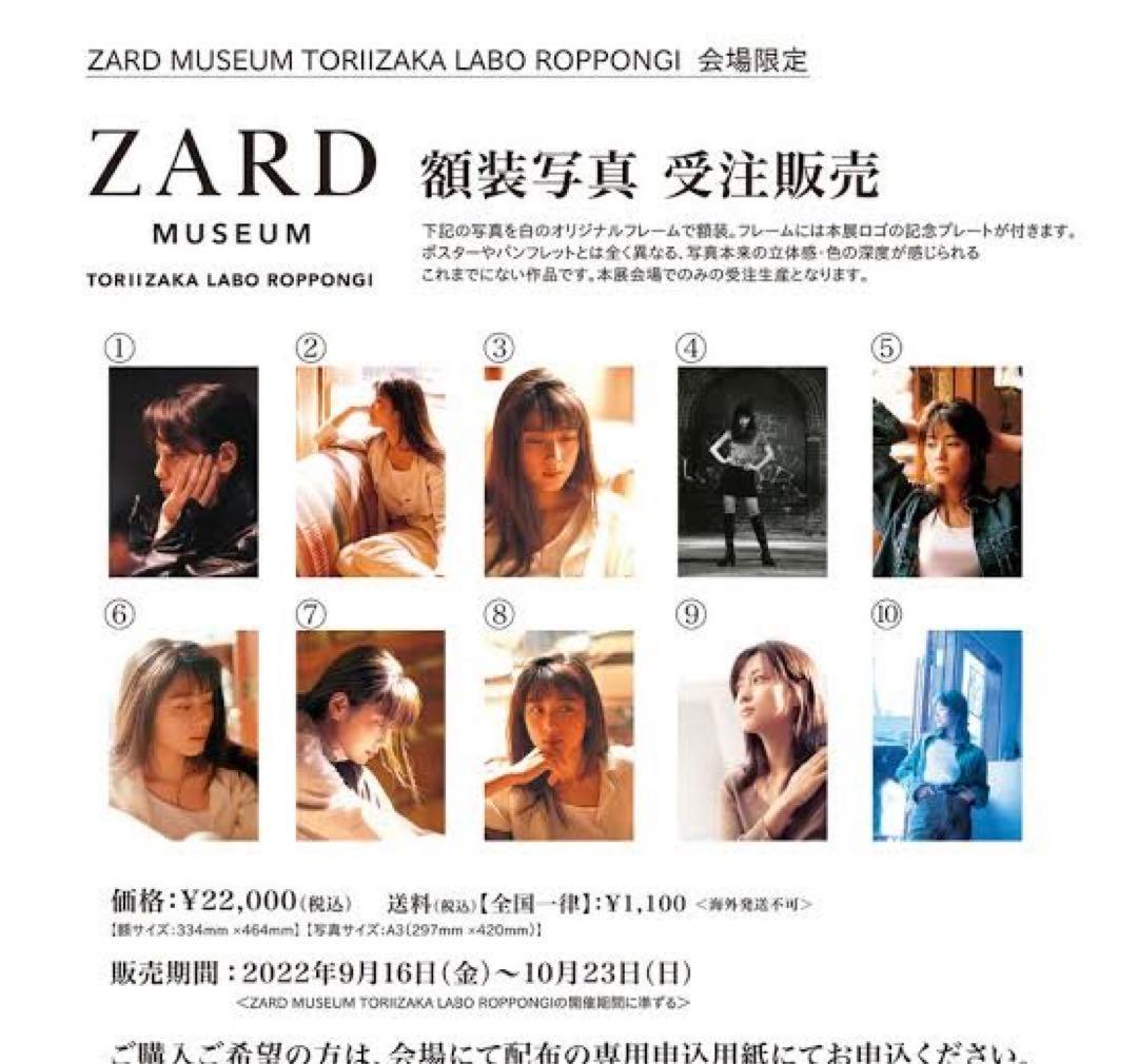 新品未使用】ZARD 坂井泉水 額縁写真 A3サイズ - メルカリ