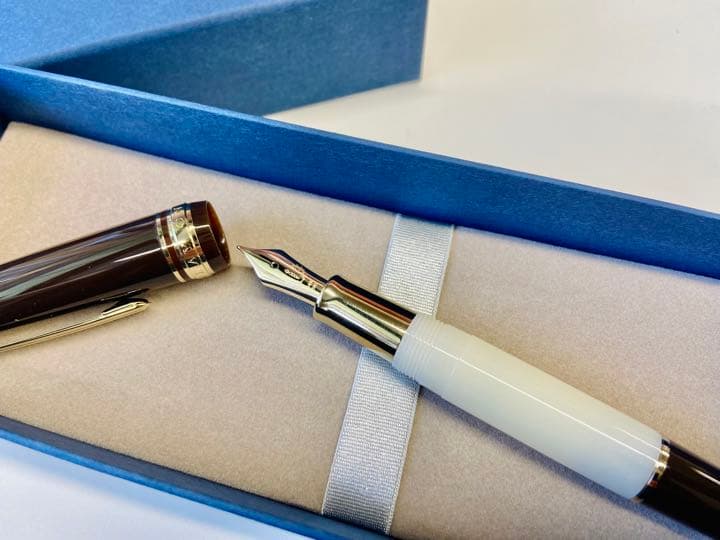 代官山蔦屋書店限定 セーラー万年筆 On Your Birthday M尖 - メルカリ