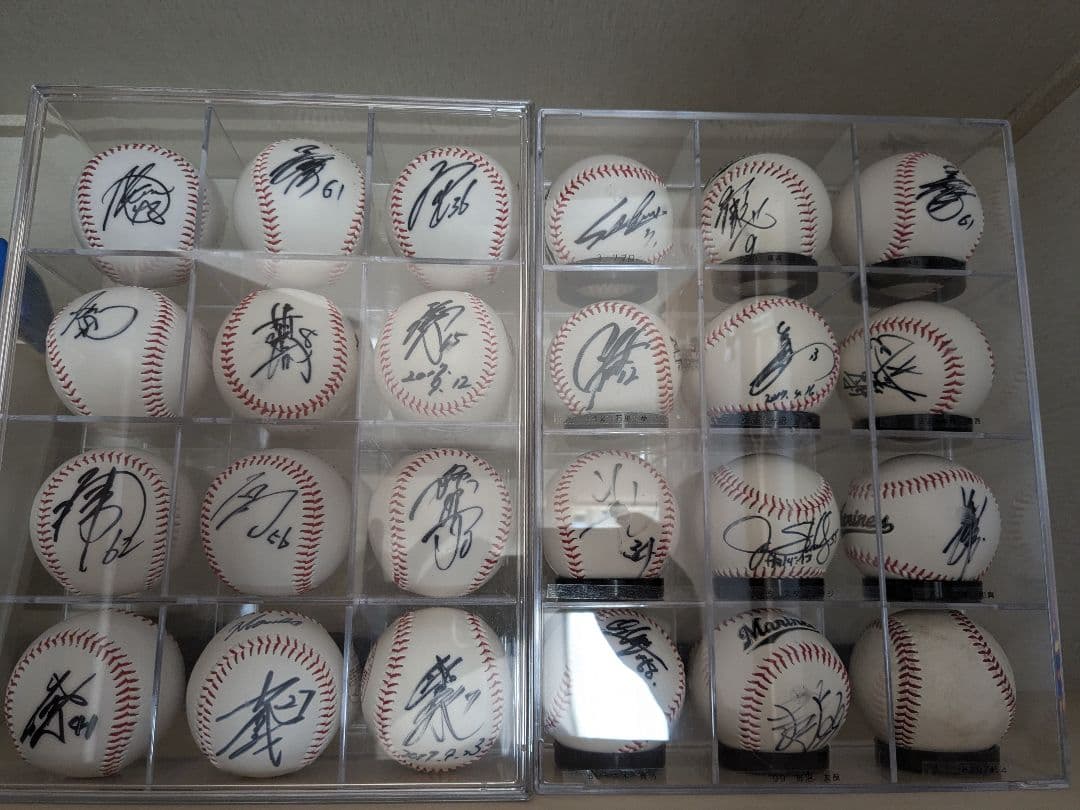 激レア SHAKALABBITS 元メンバーKING サイン刻印入ピック