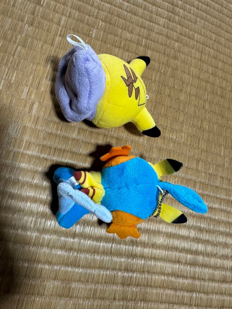 ピカチュウカーニバル　ヌメラ　ミズゴロウ