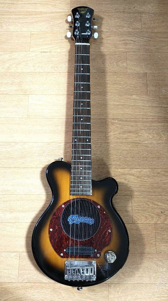 Pignose ピグノーズ PGG-100 アンプ内蔵ギター