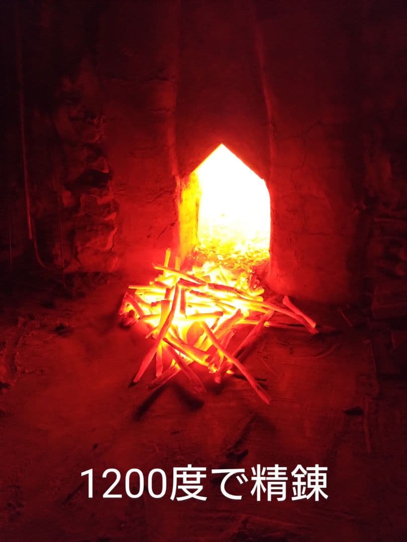 ごまちゃん 荒１５キロ