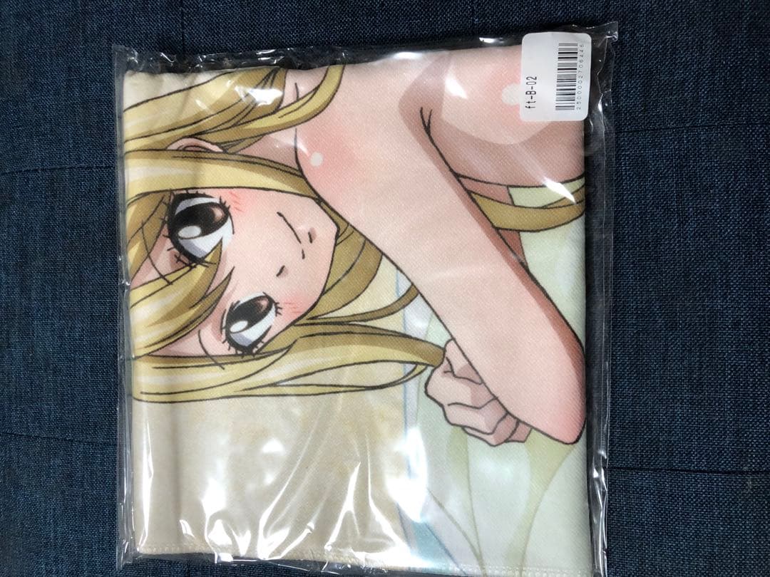 FAIRY TAIL フェアリーテイル これくしょんパーク Ｂ賞 ルーシィ2種