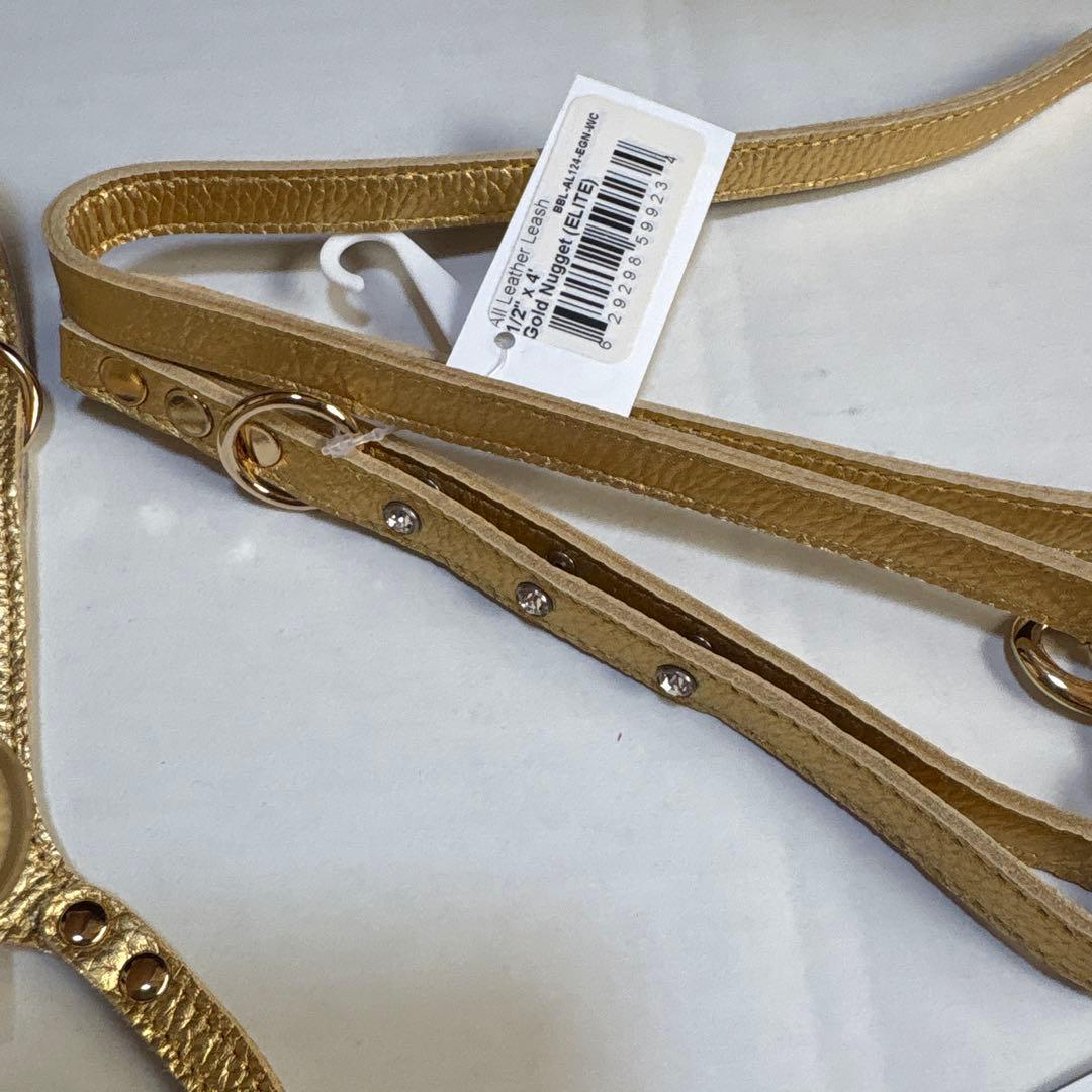 BUDDY BE LT】Gold Nuggetハーネス.リード セット3号