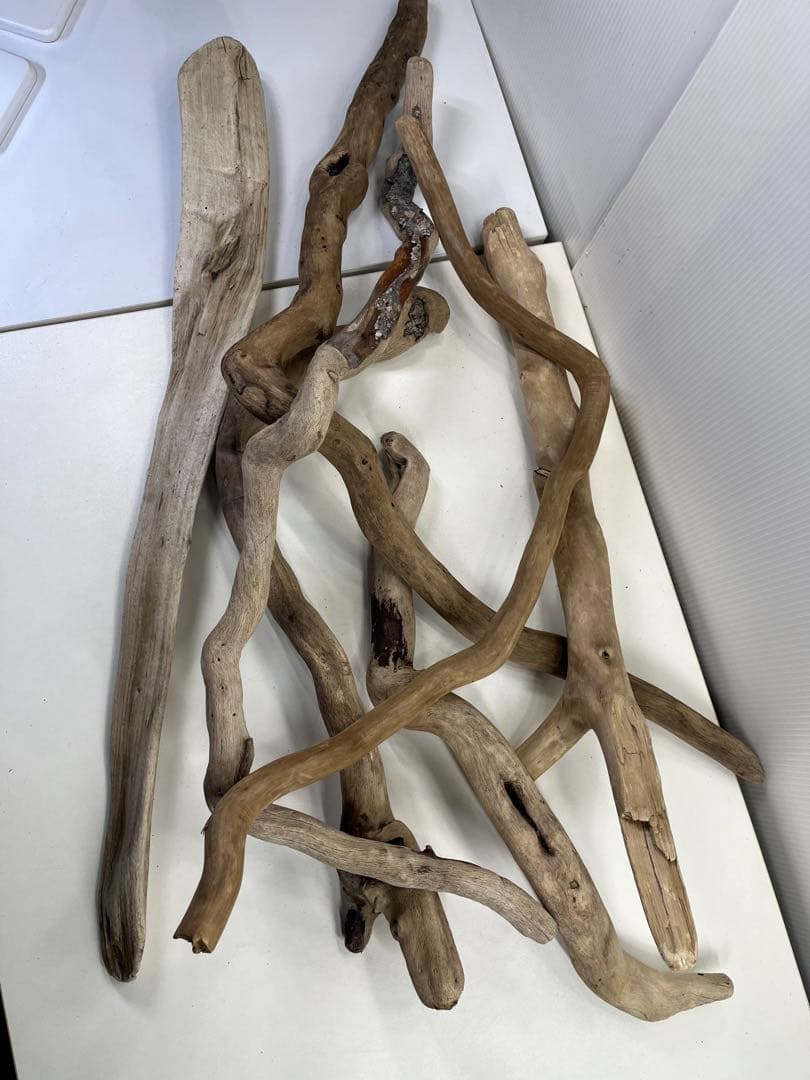 F5アク抜き済み流木セット 爬虫類シェルター 登り木 インテリア 生け花