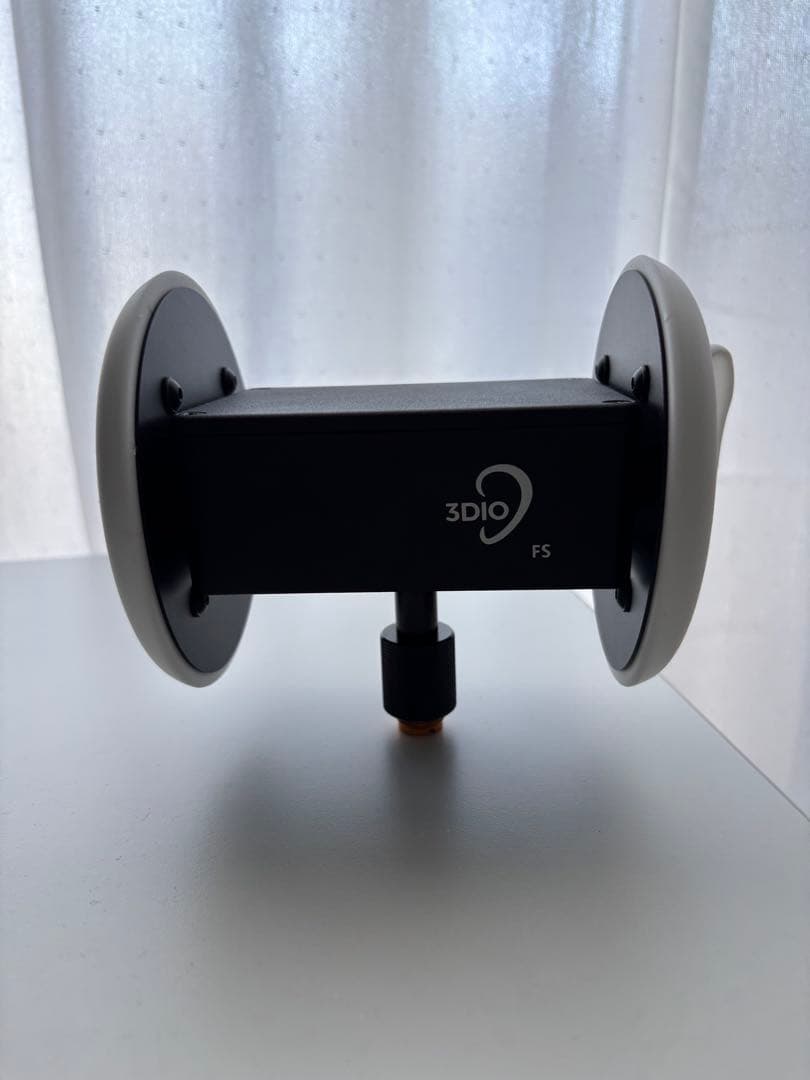 3DIO FS マイク ハードケース付き