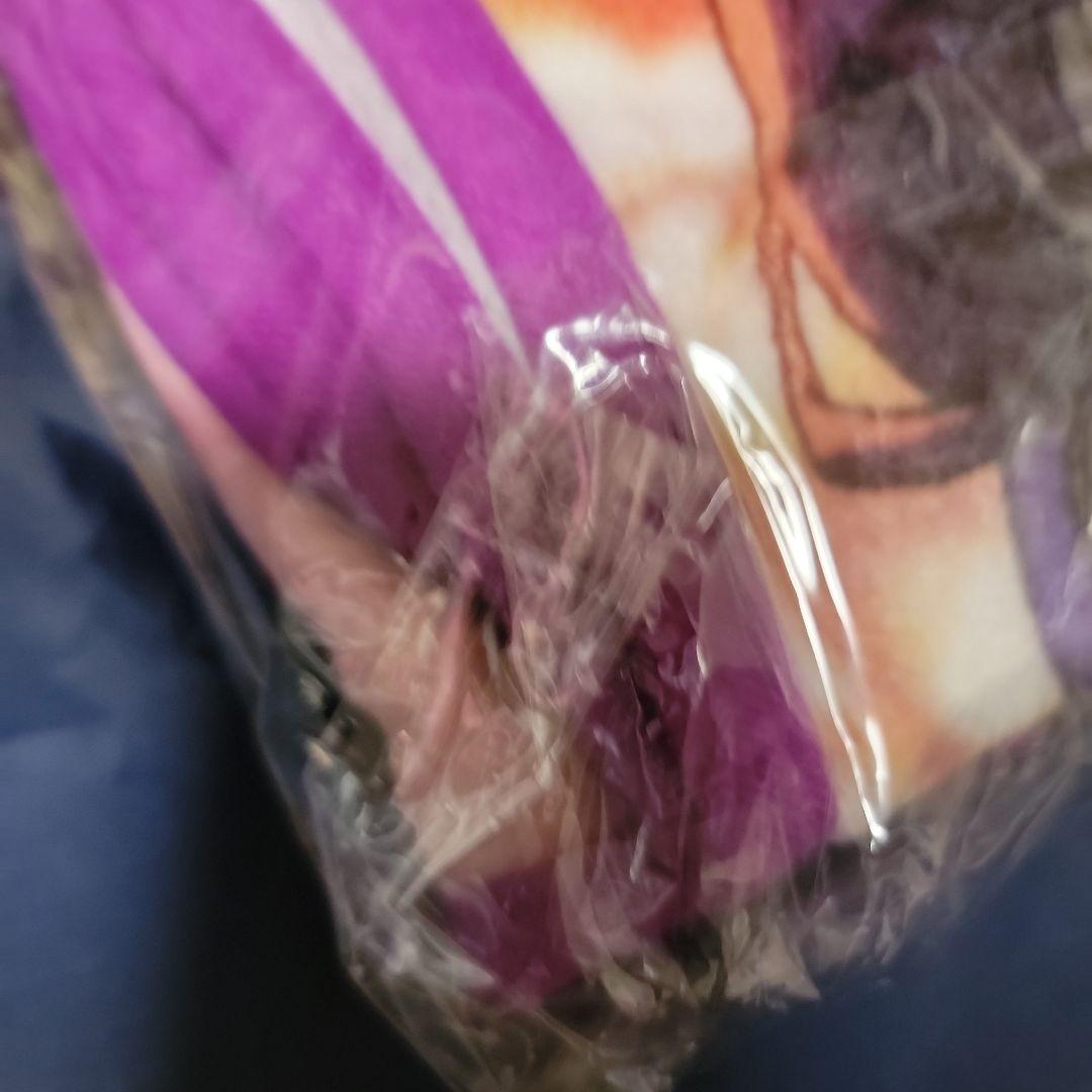 ビジュアルブランケットvol.2 朔間零 羽風薫