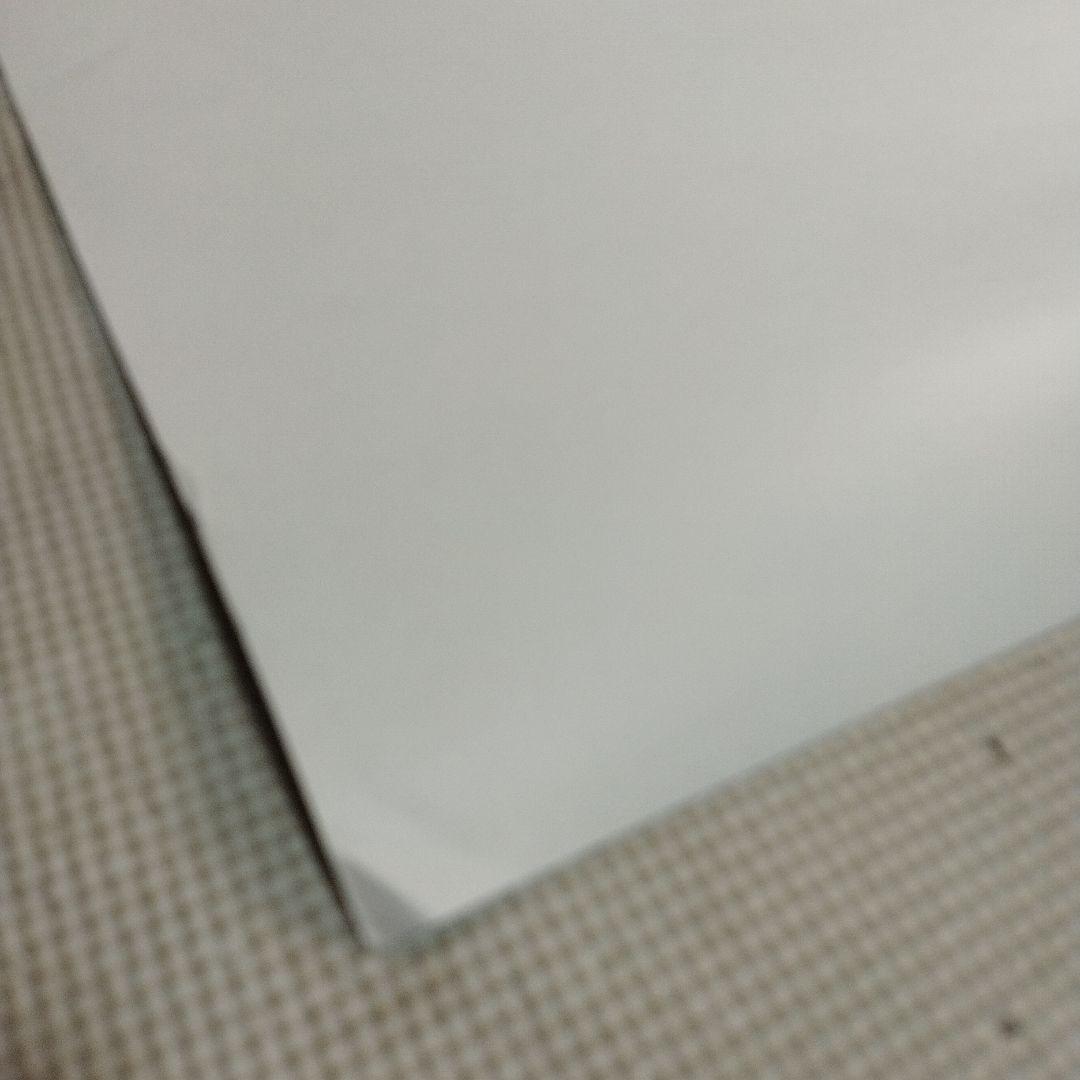 資生堂　エレン・マリー・ミモリ　ポスター　約73×51.5センチ