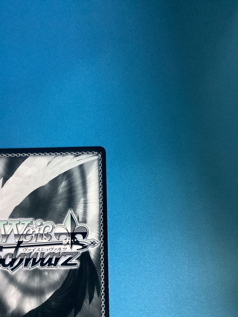 WS 彼女、お借りします 気ままな現代っ子 みに SEC サイン