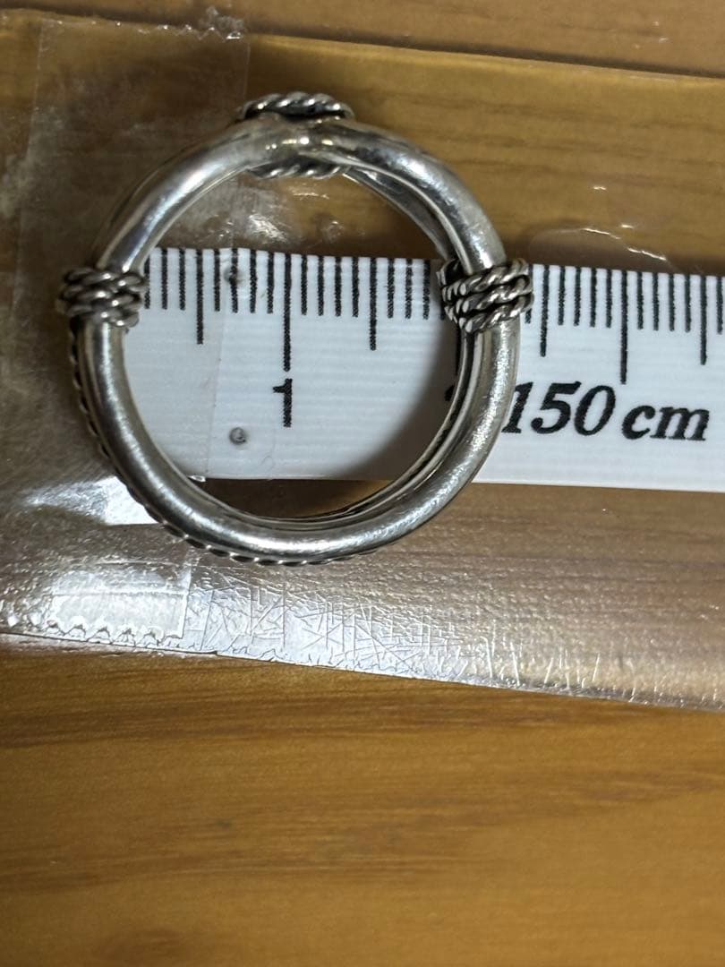 Steve Arviso　スティーブアルビソ　ホースウィスパラーリング　17号