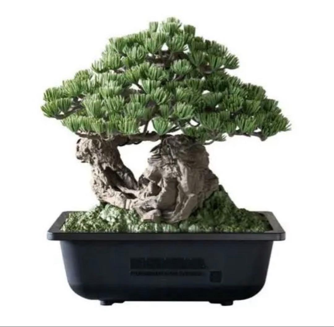 その他 Bonsai Model Kit NEIGHBORHOOD
