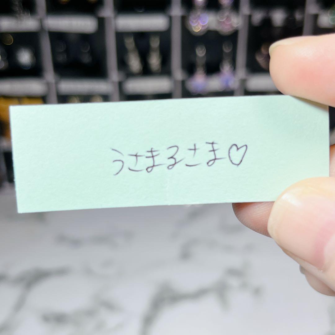 うさまる様専用 ソイネショップ